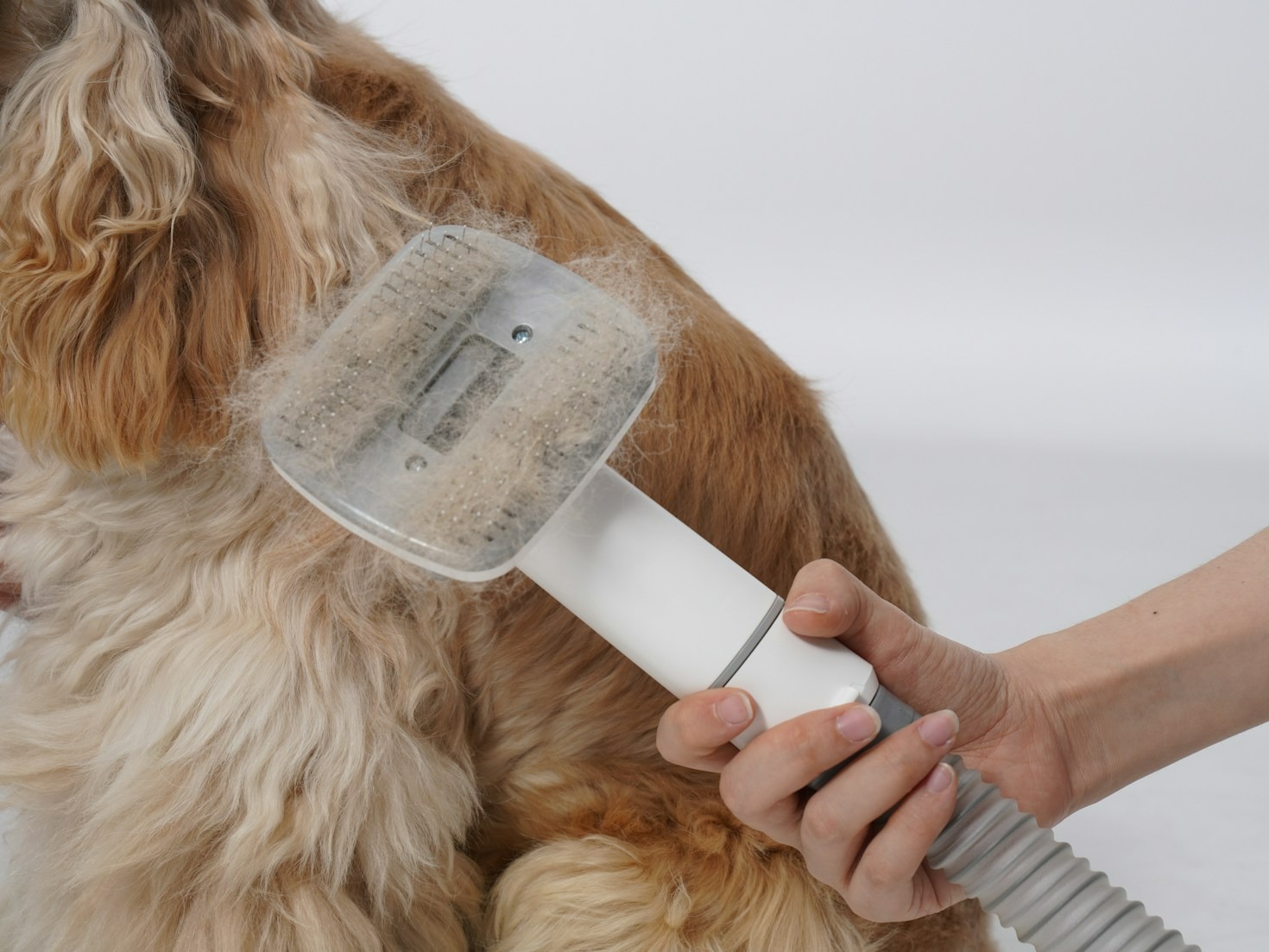 Preparing Your Pet for Their Grooming Appointment